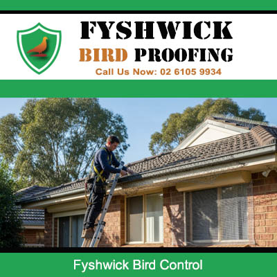 Bird control technician on ladder inspecting residential roof for proofing in Fyshwick Canberra