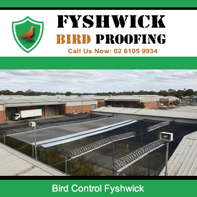 Commercial bird control solution with spikes on industrial building roof in Fyshwick