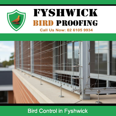 Professional bird control system protecting office windows at Fyshwick property