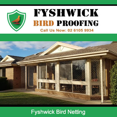 Bird netting installed on residential windows and outdoor area in Fyshwick Canberra