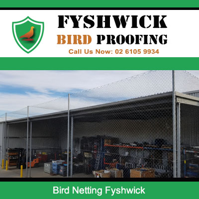 Fyshwick bird netting solution securing industrial property from pest bird entry