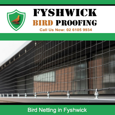 Bird netting installed along commercial building facade in Fyshwick