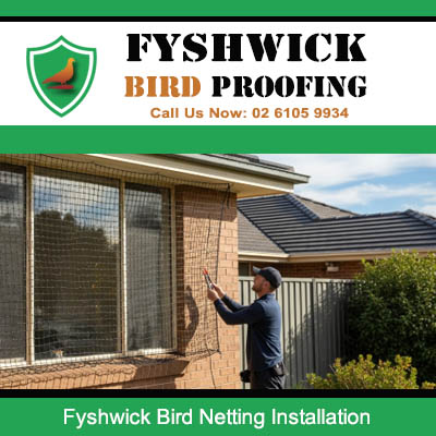 Expert bird netting installation being performed on house exterior in Fyshwick ACT