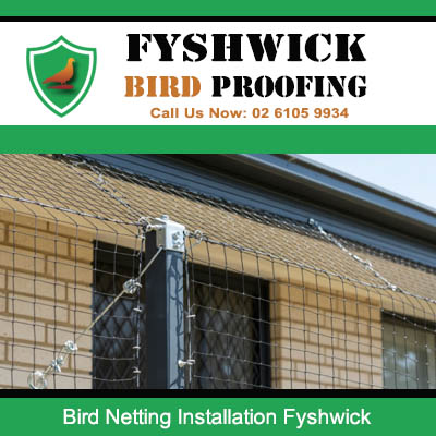 Bird netting installed above windows on commercial building in Fyshwick Canberra