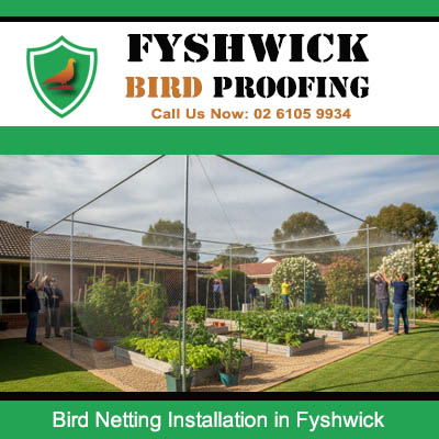 Garden bird netting installation by specialists to protect plants in Fyshwick