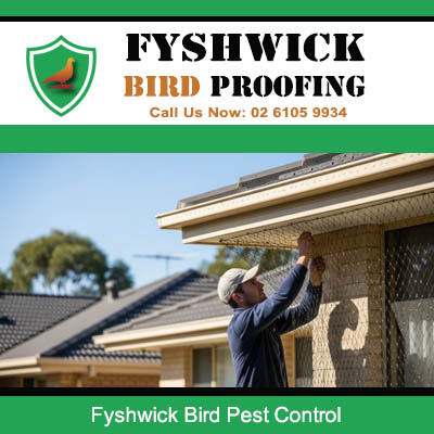 Bird pest control technician installing protective mesh on residential roof in Fyshwick