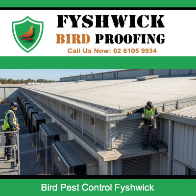 Bird pest control team installing protective spikes on commercial warehouse roof in Fyshwick