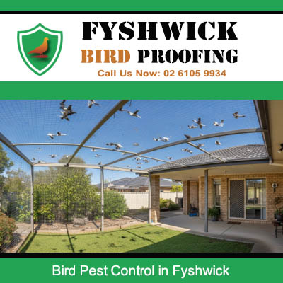Professional bird control mesh covering patio to prevent pest birds at Fyshwick property