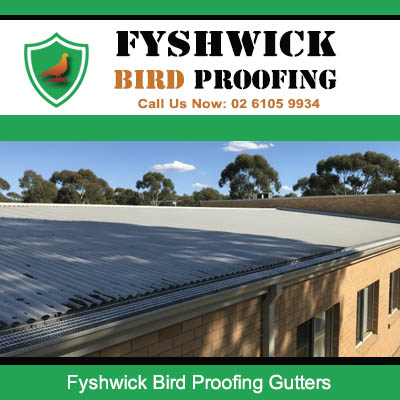 Fyshwick bird proofing gutters with protective mesh installed on residential roof