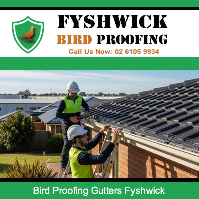 Technicians installing gutter protection for bird proofing on Fyshwick residential roof
