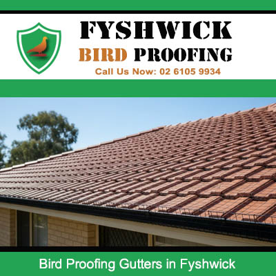Quality gutter bird proofing installation protecting residential home in Fyshwick Canberra