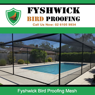 Bird proofing mesh installed around swimming pool enclosure in Fyshwick