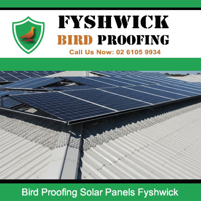 Professional bird proofing solar panel system fitted on commercial building at Fyshwick