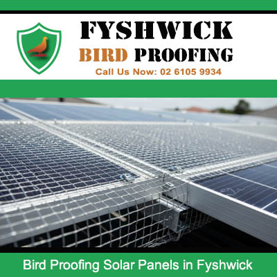 Close up of bird proofing barriers protecting solar array edges in Fyshwick