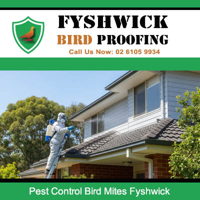 Professional bird mite removal service being performed on home rooftop at Fyshwick