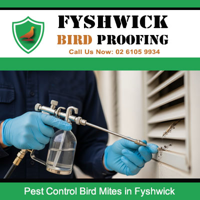 Bird mite pest control treatment being applied to air vent by specialist in Fyshwick